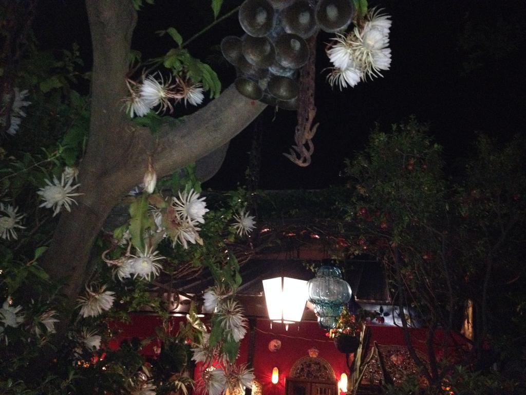 Casa De Las Flores Bed & Breakfast Tlaquepaque Ngoại thất bức ảnh