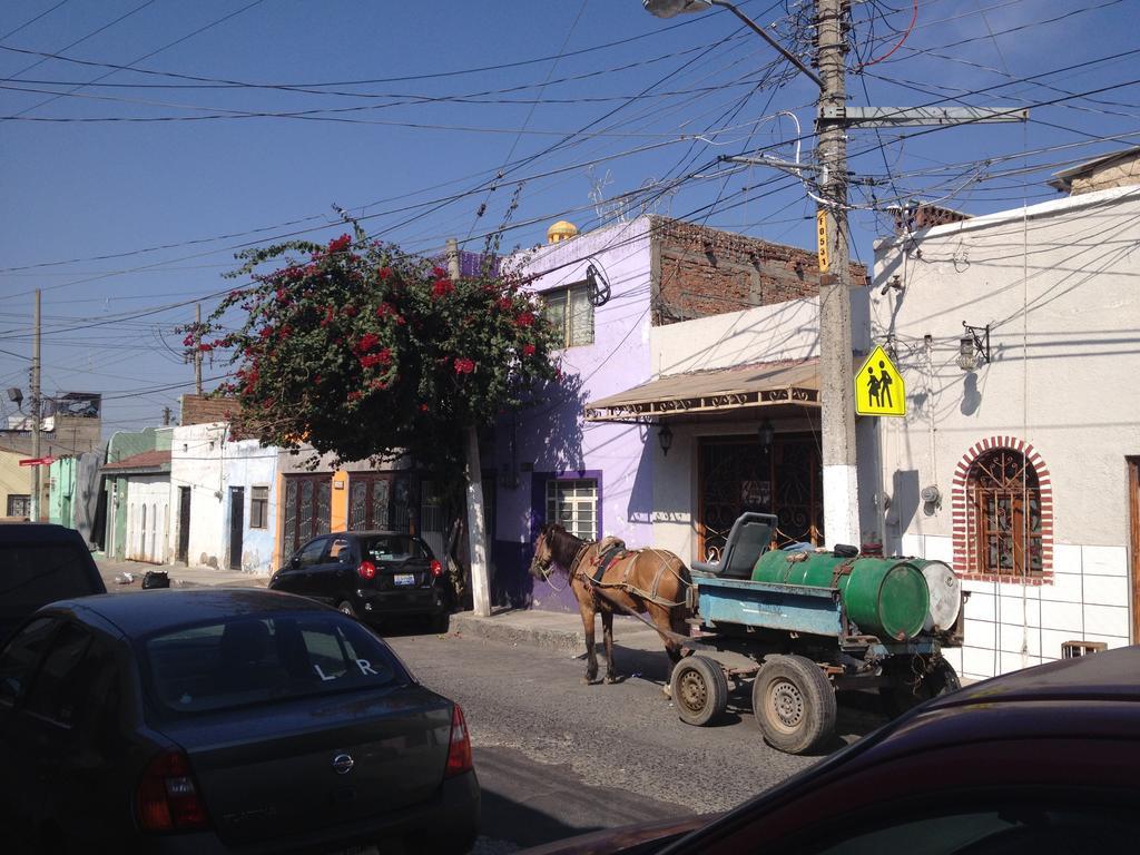 Casa De Las Flores Bed & Breakfast Tlaquepaque Ngoại thất bức ảnh