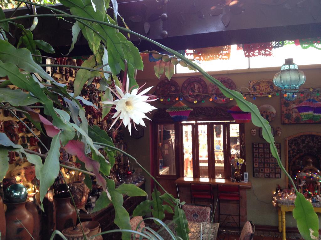 Casa De Las Flores Bed & Breakfast Tlaquepaque Ngoại thất bức ảnh