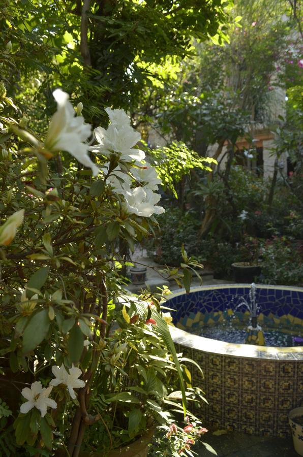 Casa De Las Flores Bed & Breakfast Tlaquepaque Ngoại thất bức ảnh