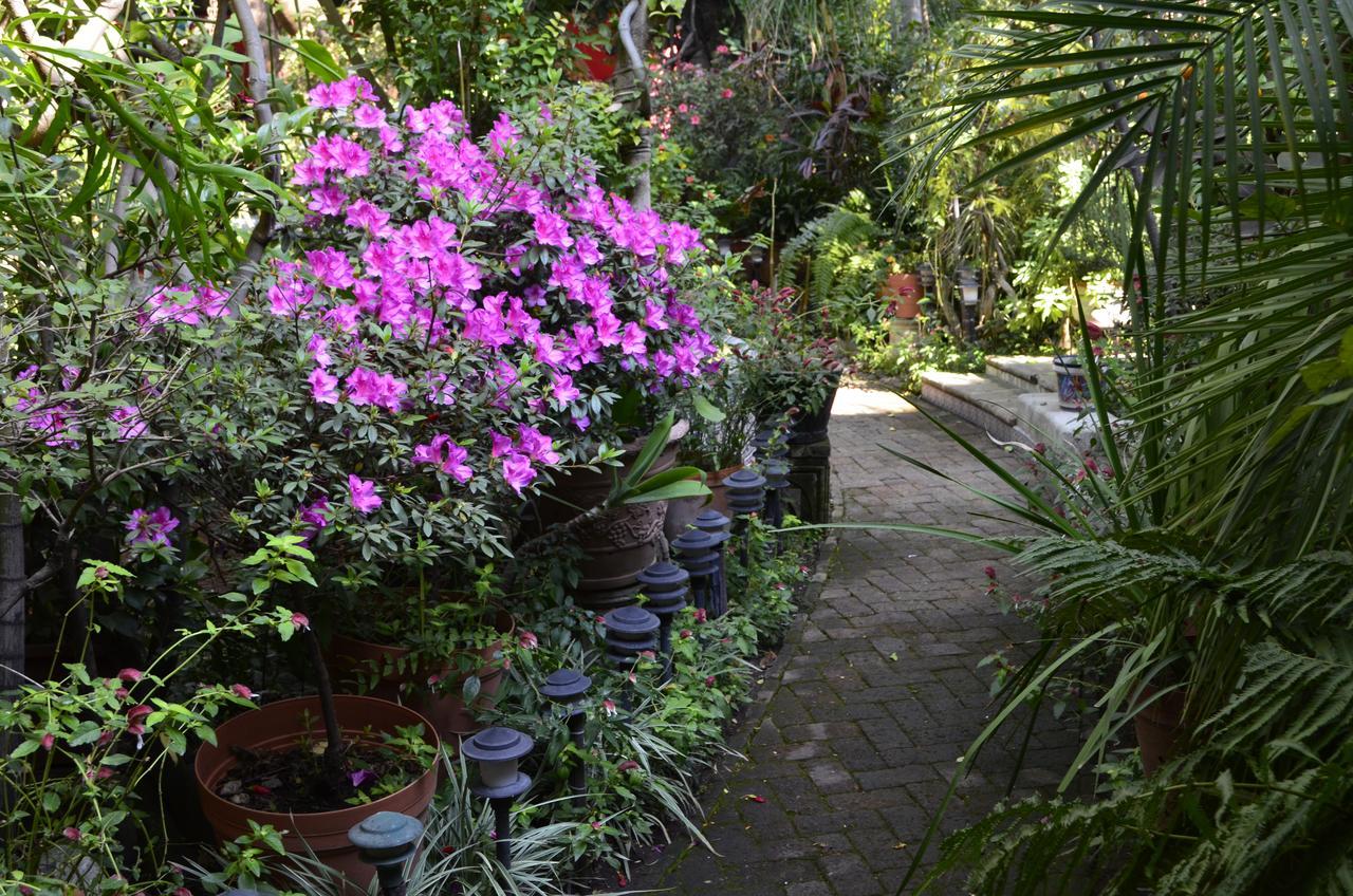 Casa De Las Flores Bed & Breakfast Tlaquepaque Ngoại thất bức ảnh